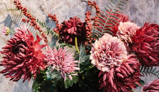 植物大战僵尸杂交版植物融合操作界面截图，展示两种植物合并的选择面板，UI提示清晰，新手易于理解